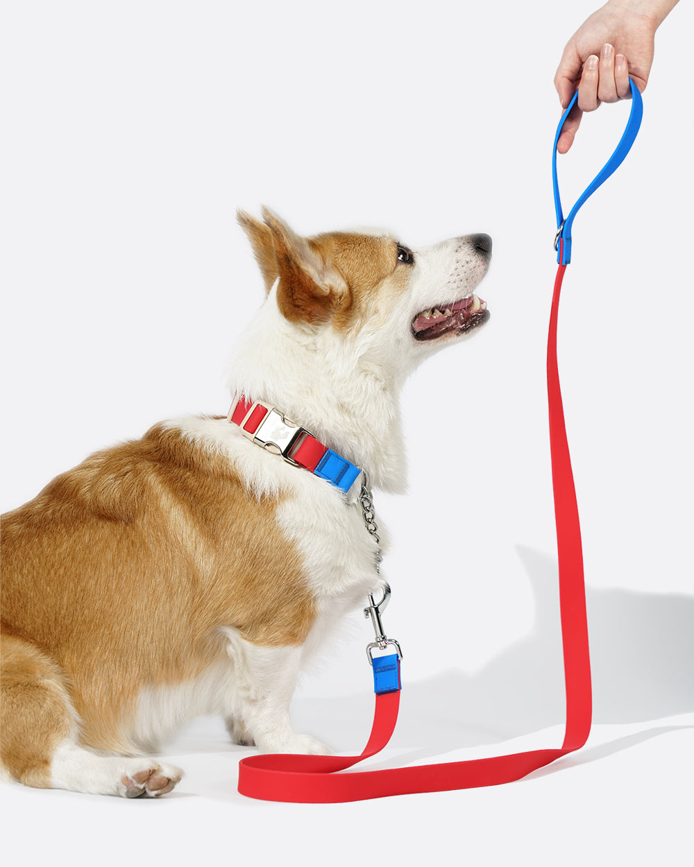 Aqua PVC Waterproof Martingale Collar and Leash Set - Hero Red