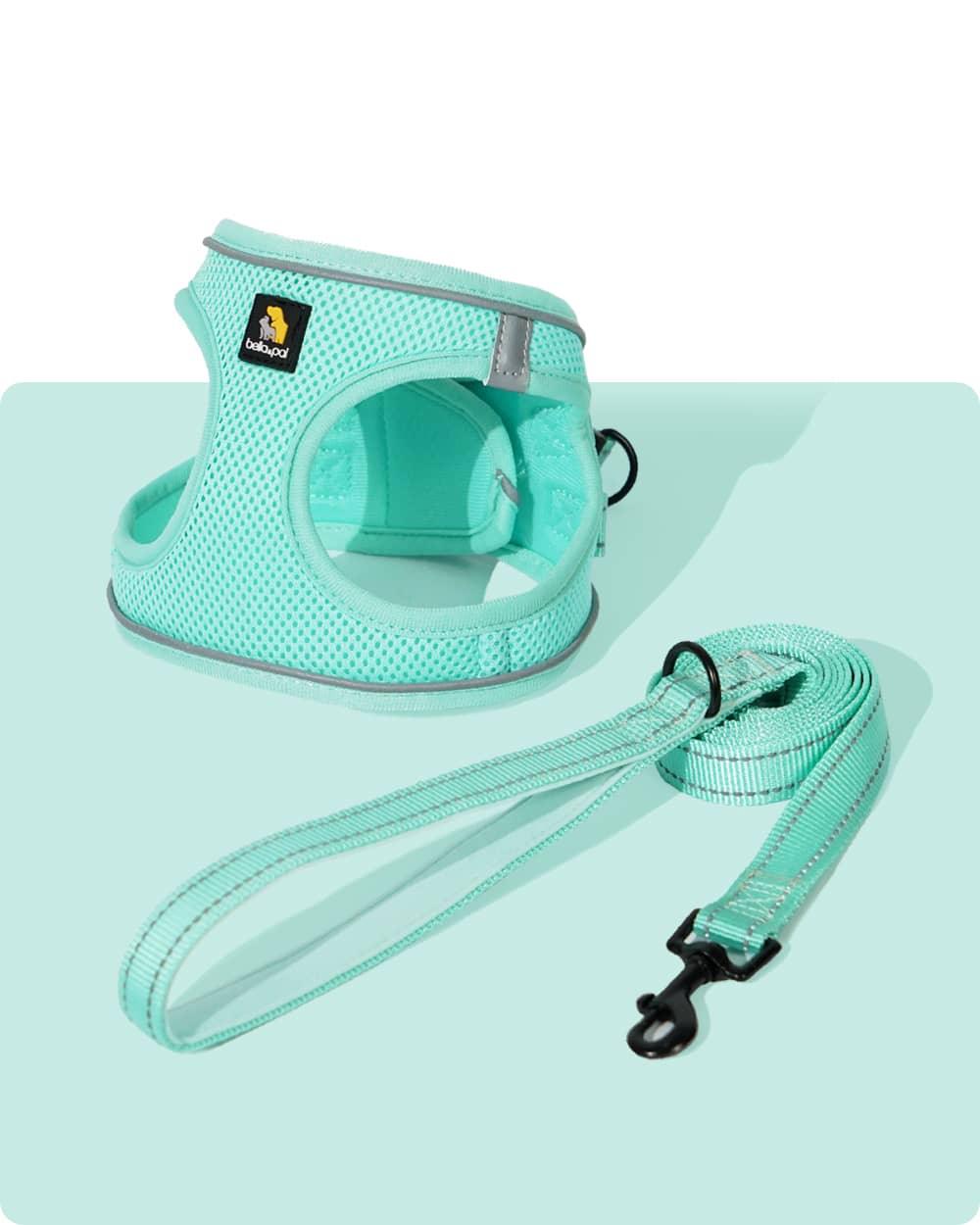 OxyMesh Velcro Step-in Harness and Leash Set - Mint Green