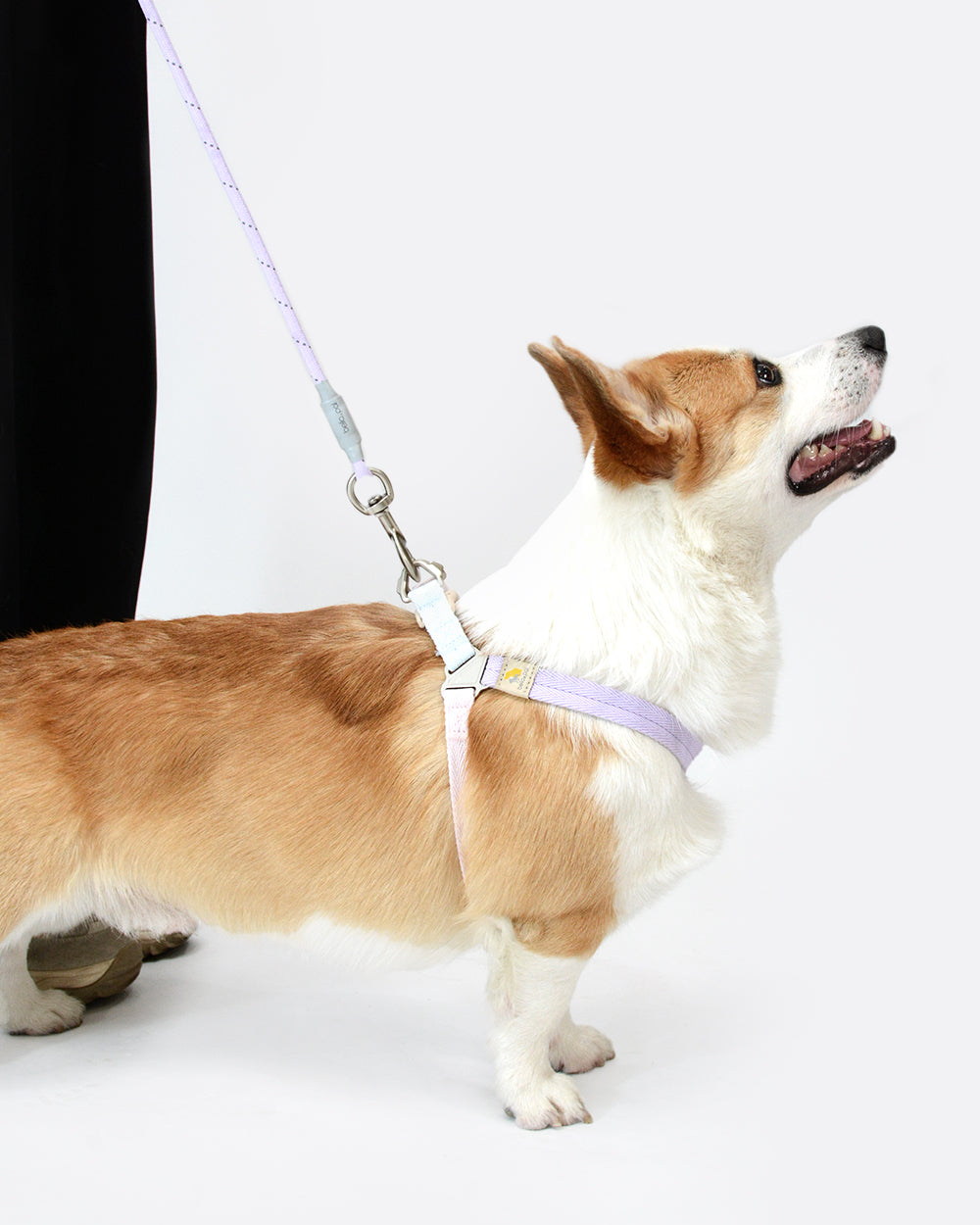 Soft Move Step-in Dog Harness and Leash Set - Aurora