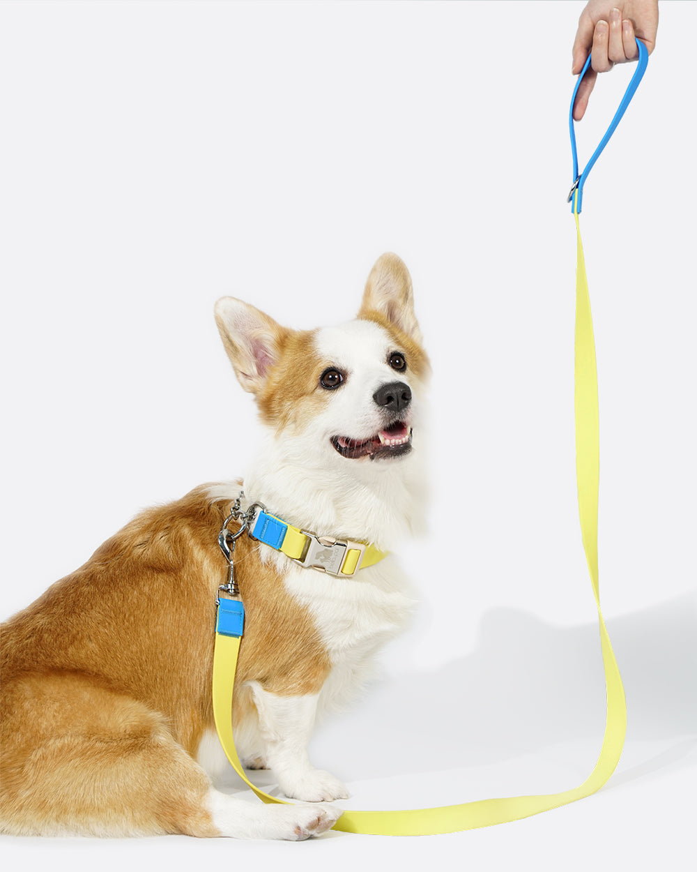 Aqua PVC Waterproof Martingale Collar and Leash Set - Mini Yellow