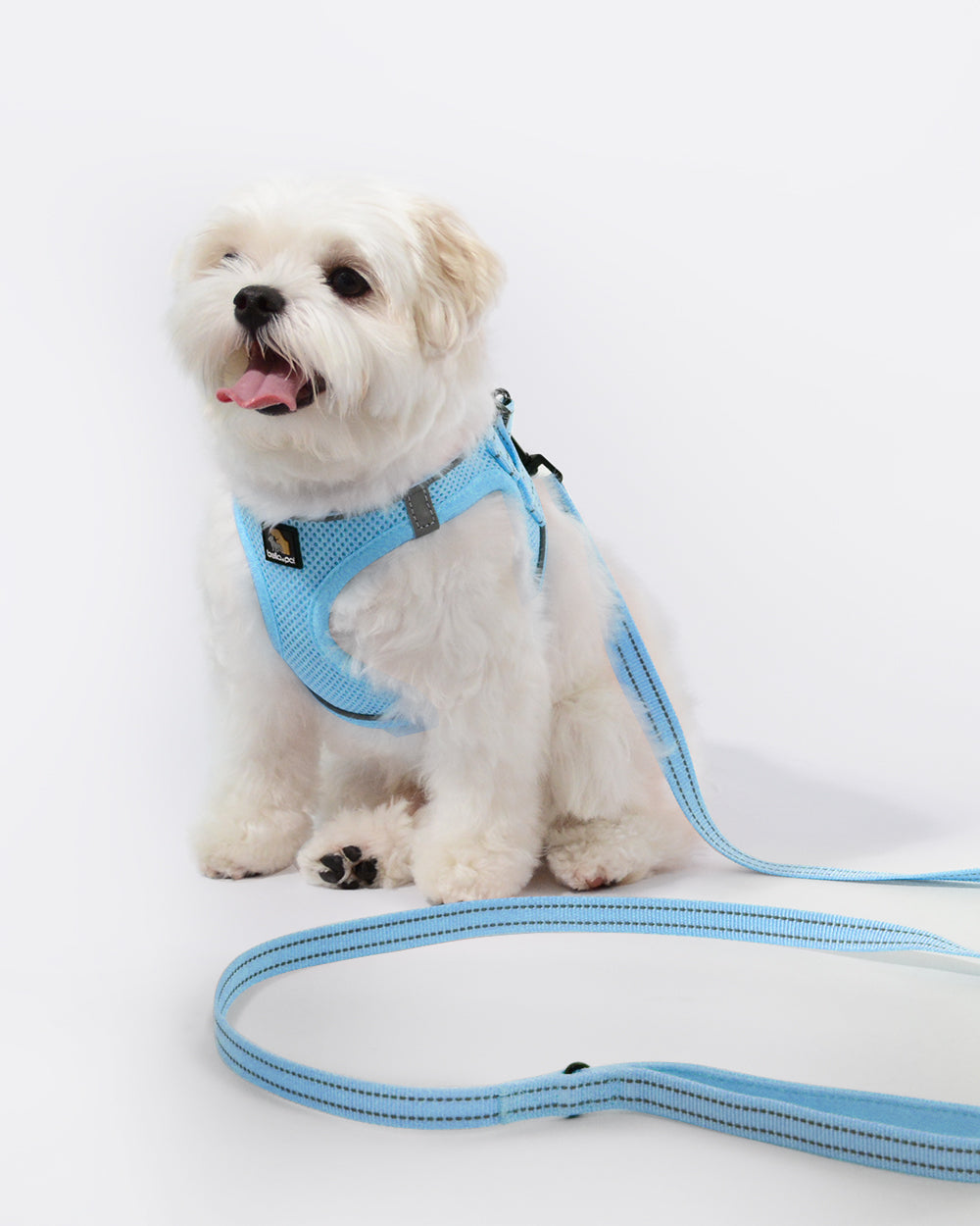 OxyMesh Velcro Step-in Harness and Leash Set - Sky Blue