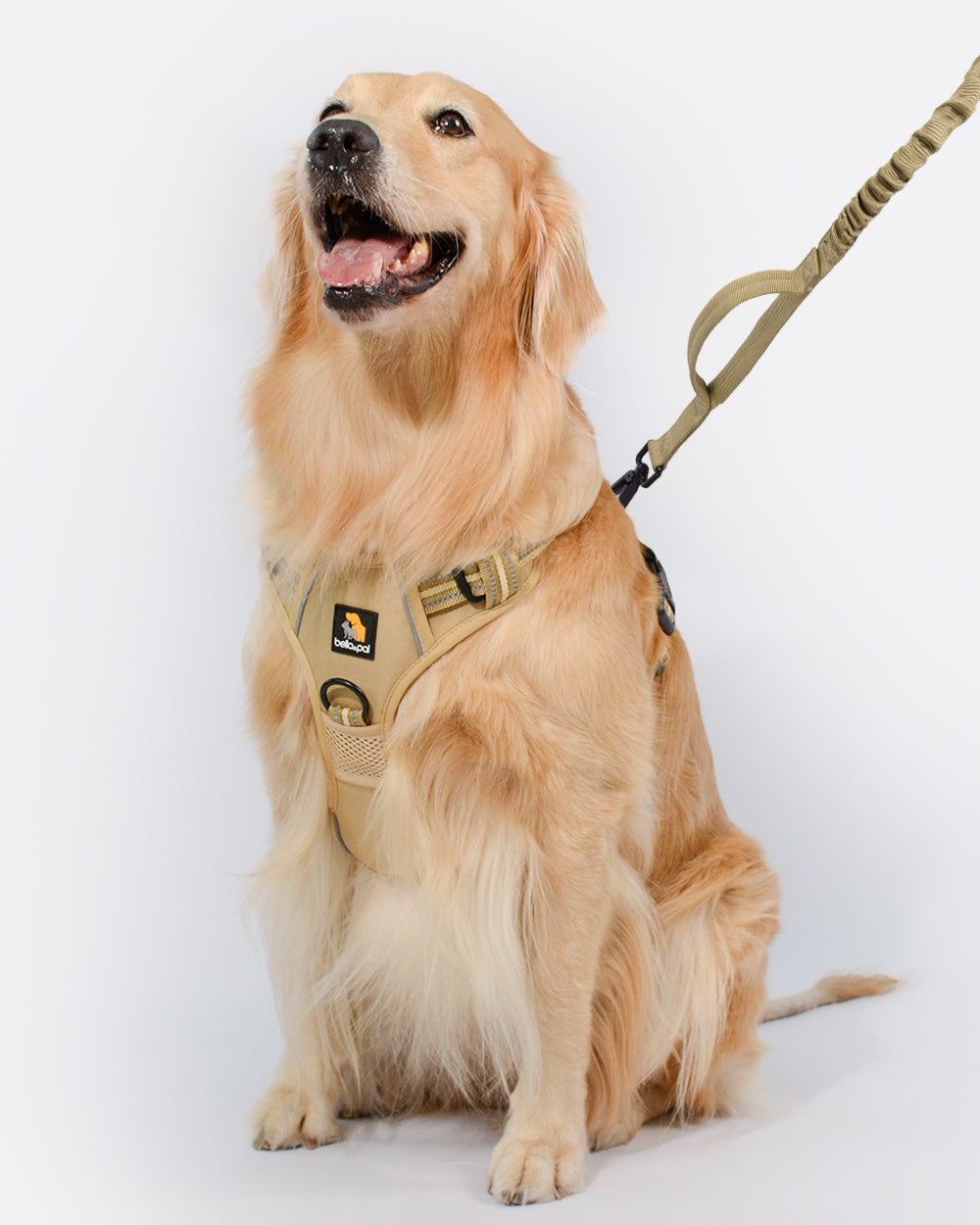 Smart Pro No Pull Harness and Heavy Duty Leash Set -British Khaki