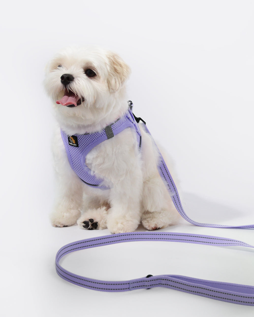 Essential Puppy Starter Kit- Lavender (3 Pack)