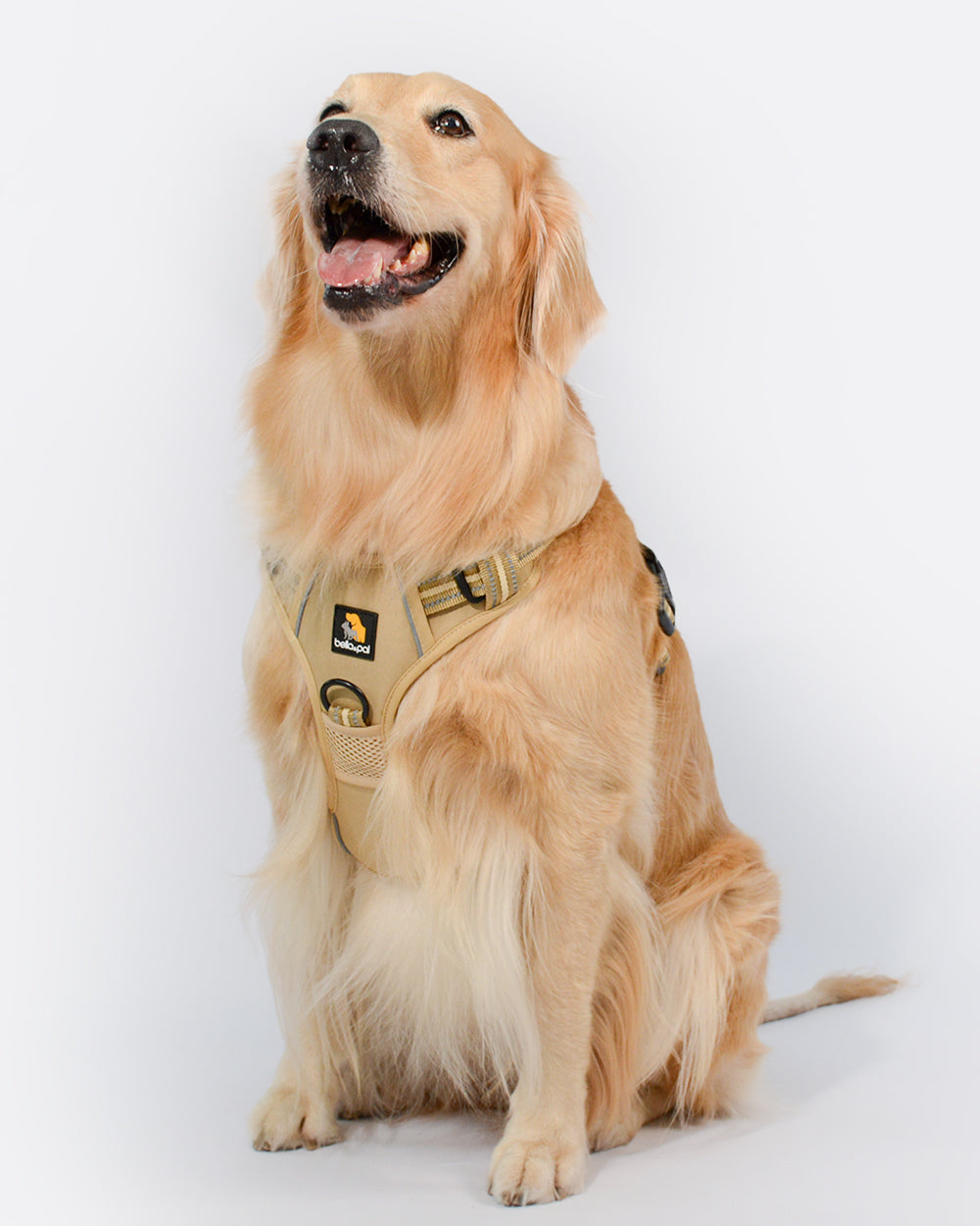 Smart Pro No Pull Dog Harness - British Khaki