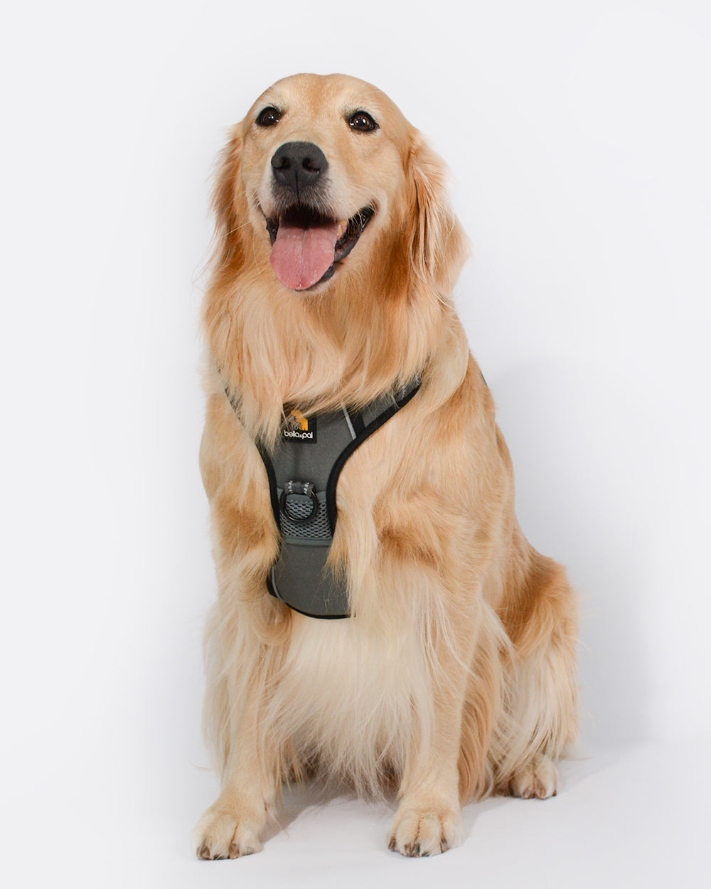 Smart Pro No Pull Dog Harness -  Granite Grey