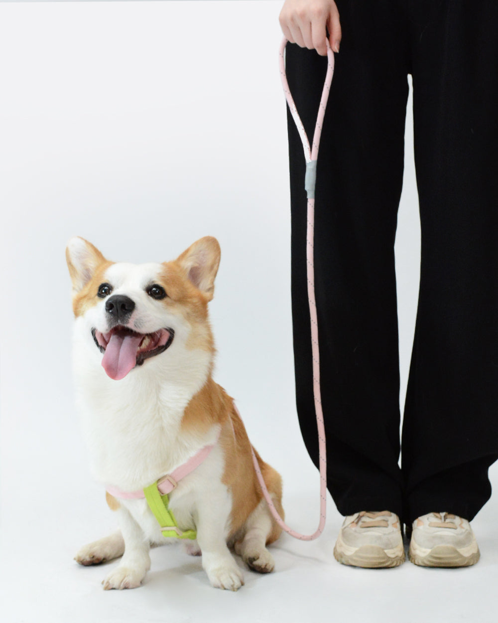 Soft Move Light Step-in Harness and Leash Set - Sakura