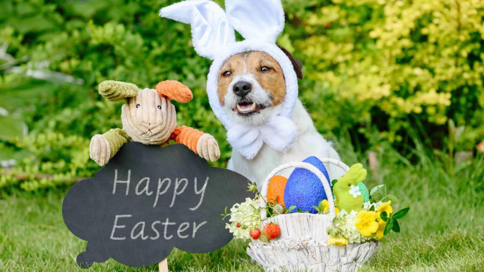 Egg-cellent Ways to Include Your Dog in Easter