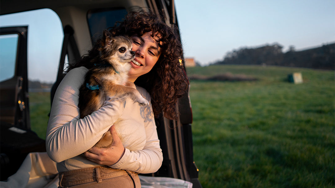 Traveling with Pets: Tips and Essentials for a Smooth Journey