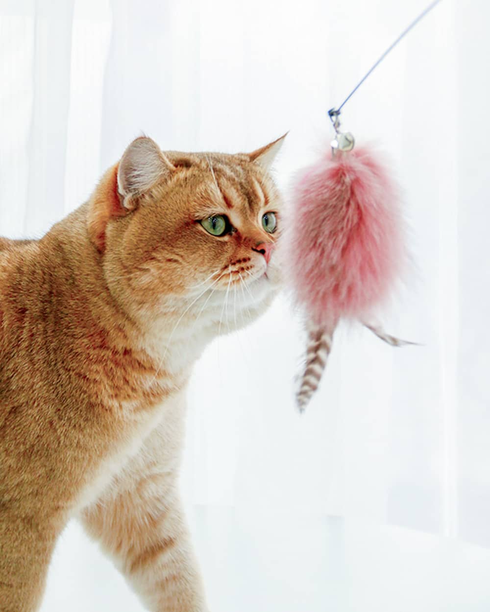 This sturdy, flexible teaser wand with a soft pompom and feathers is designed for long-lasting, safe play, encouraging exercise and mental stimulation for cats of all ages.