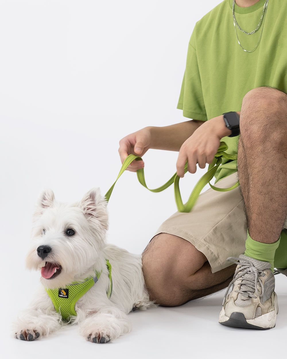 A Step-in dog harness in Avocado Green which suitable for the small dogs , such as West Highland White Terrier, Chihuahua,,Shih Tzu,