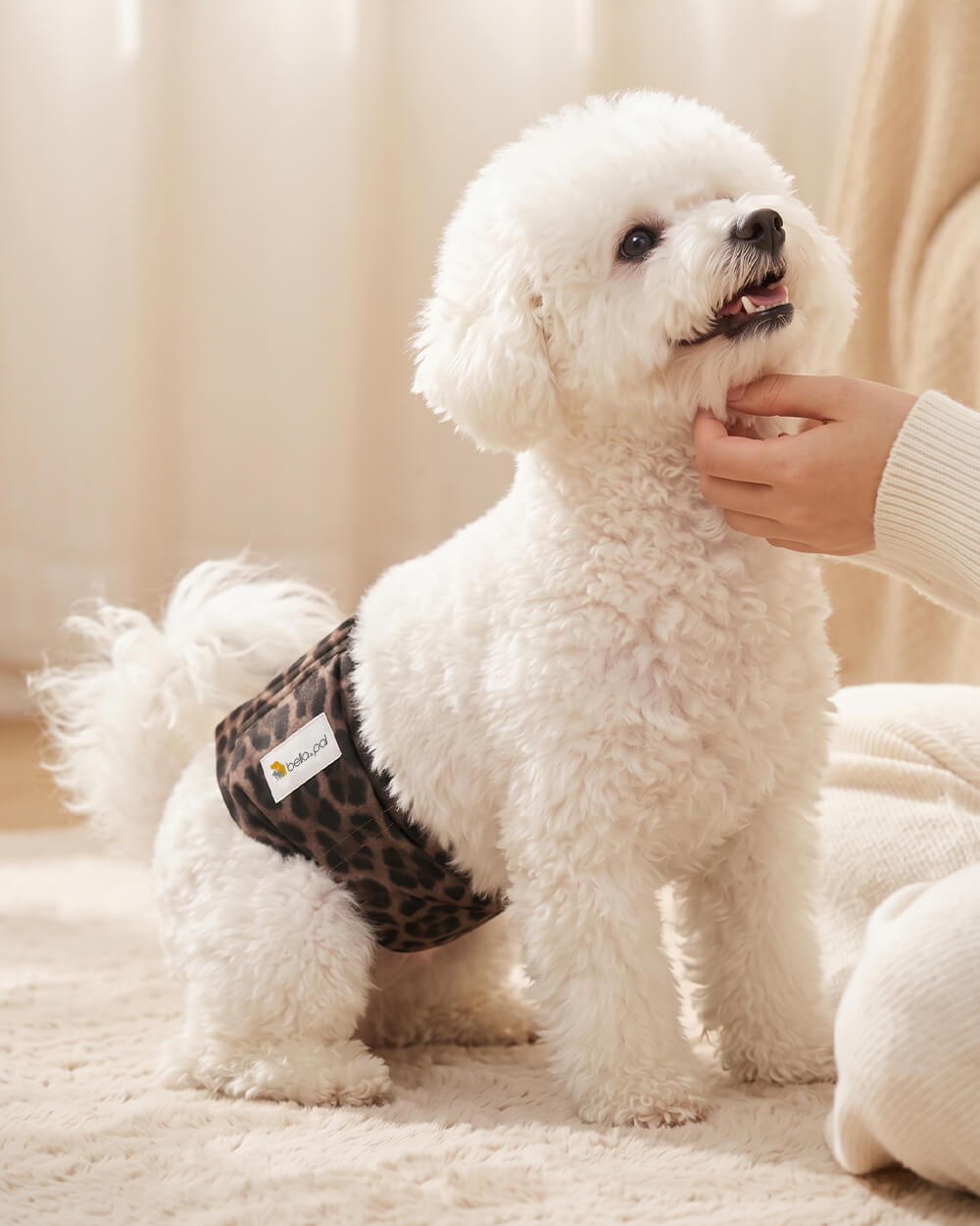 Washable Male Dog Belly Band - Leopard Brown