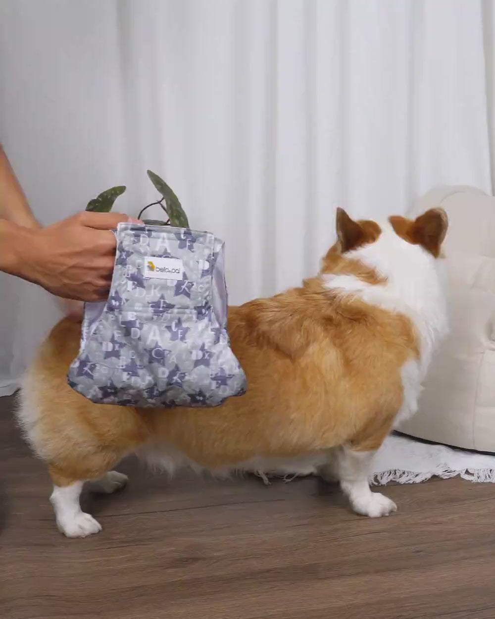 Bella & Pal × PJai & Friends 聯乘款可水洗公狗尿布單片裝 - 型仔