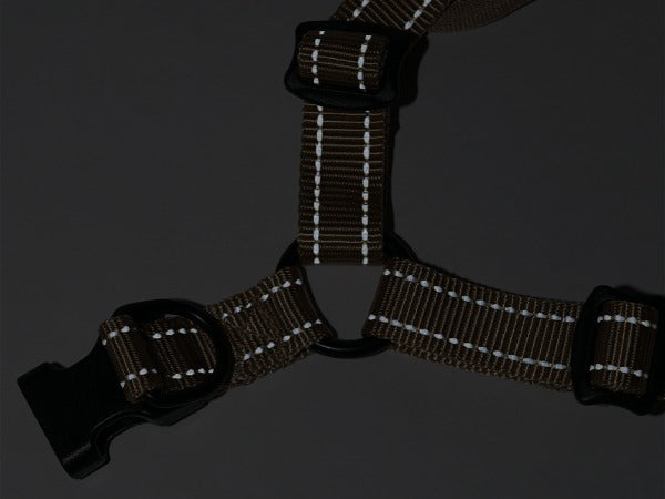 Bella Pal Collar