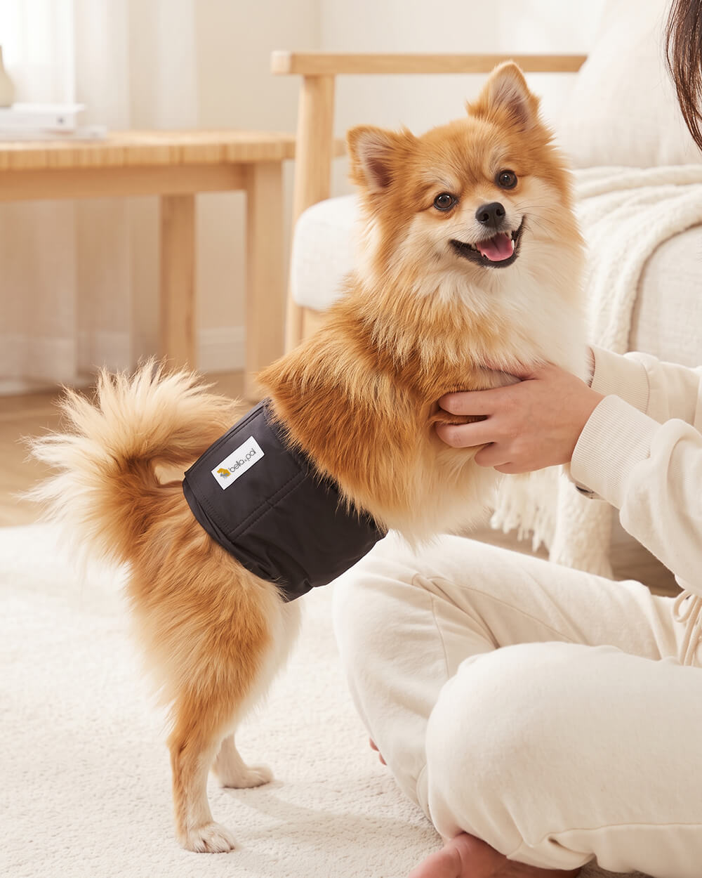 Washable Male Dog Belly Band - Espresso