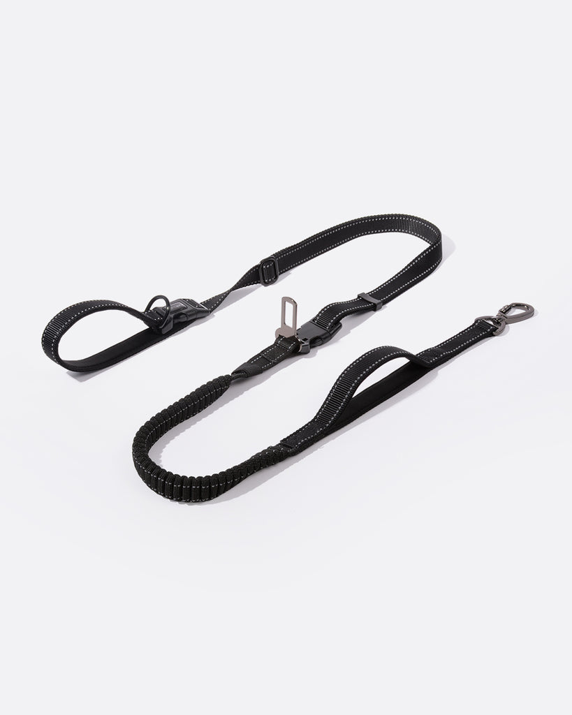 No Pull Dog Leash Heavy Duty Rope Short Dog Leash with Shock Absorbing  Springs - China Dog Lead and Dog Leash price